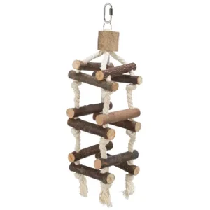 Gantry Ladder Frame